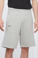 shorts | regular fit Replay 	grigio