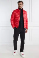 Piumino giacca | Regular Fit BLAUER 	rosso