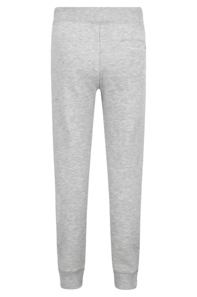 pantaloni della tuta basic | regular fit Tommy Hilfiger 	grigio cenere