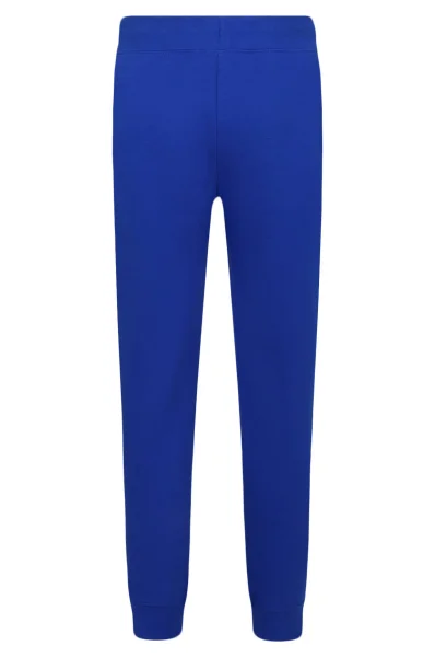 Pantaloni della tuta | Regular Fit POLO RALPH LAUREN 	blu marino