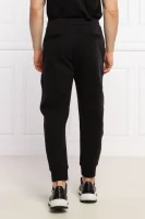 Pantaloni della tuta | Regular Fit Emporio Armani 	nero