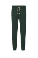 pantaloni della tuta thomase | regular fit Pepe Jeans London 	verde