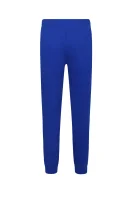 Pantaloni della tuta | Regular Fit POLO RALPH LAUREN 	blu marino