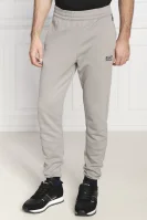 Pantaloni della tuta | Regular Fit EA7 	grigio