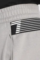 Pantaloni della tuta | Regular Fit EA7 	grigio