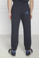 Pantaloni della tuta | Regular Fit Armani Exchange 	blu marino