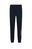 Pantaloni della tuta | Regular Fit Tommy Hilfiger 	blu marino