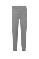 pantaloni della tuta | relaxed fit EA7 	grigio