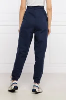 pantaloni della tuta | relaxed fit Tommy Jeans 	blu marino