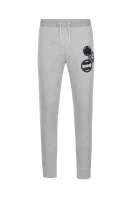 pantaloni della tuta | regular fit Armani Exchange 	grigio cenere